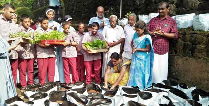 ഭിന്നശേഷിക്കാരായ കുട്ടികള്ക്ക് കൃഷി പരിജ്ഞാനമേകി സമഗ്ര പച്ചക്കറി വികസന പദ്ധതിക്ക് തുടക്കമായി ഭിന്നശേഷിക്കാരായ കുട്ടികള്ക്ക് കൃഷി പരിജ്ഞാനമേകി സമഗ്ര പച്ചക്കറി വികസന പദ്ധതിക്ക് തുടക്കമായി