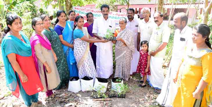 ജീവനി പദ്ധതിയ്ക്ക് കോന്നി ഗ്രാമപഞ്ചായത്തിൽ തുടക്കമായി ജീവനി പദ്ധതിയ്ക്ക് കോന്നി ഗ്രാമപഞ്ചായത്തിൽ തുടക്കമായി