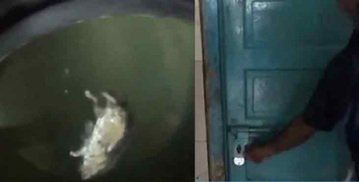 ഹോട്ടലിലെ കുടിവെള്ള ടാങ്കില് ചത്ത എലി ; ഹോട്ടല് അടച്ച് പൂട്ടി ആരോഗ്യ വിഭാഗം ഹോട്ടലിലെ കുടിവെള്ള ടാങ്കില് ചത്ത എലി ; ഹോട്ടല് അടച്ച് പൂട്ടി ആരോഗ്യ വിഭാഗം