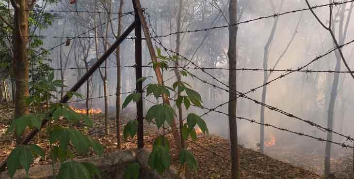 കോന്നി – കുളത്തുമണ്ണിൽ റബ്ബർ തോട്ടത്തിന് തീ പടർന്നു പിടിച്ചു കോന്നി – കുളത്തുമണ്ണിൽ റബ്ബർ തോട്ടത്തിന് തീ പടർന്നു പിടിച്ചു