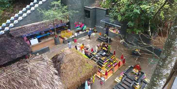 നൂറ്റാണ്ടുകളായി വനത്തില് മാത്രം ആചരിച്ചുവരുന്ന അപൂർവ അനുഷ്ഠാന പൂജയും ദ്രാവിഡ കലകളും കല്ലേലി ഊരാളി അപ്പൂപ്പന് കാവില് ഈ മാസം 21ന് നൂറ്റാണ്ടുകളായി വനത്തില് മാത്രം ആചരിച്ചുവരുന്ന അപൂർവ അനുഷ്ഠാന പൂജയും ദ്രാവിഡ കലകളും കല്ലേലി ഊരാളി അപ്പൂപ്പന് കാവില് ഈ മാസം 21ന്