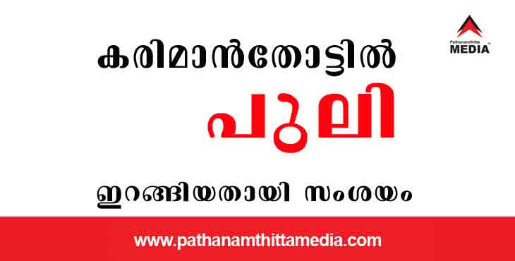കരിമാൻതോട് – മൂർത്തിമൺ റോഡിൽ പുലിയിറങ്ങിയതായി സംശയം ; പുലിയെയും പുലിക്കുട്ടിയെയും കണ്ടതായി നാട്ടുകാര് കരിമാൻതോട് – മൂർത്തിമൺ റോഡിൽ പുലിയിറങ്ങിയതായി സംശയം ; പുലിയെയും പുലിക്കുട്ടിയെയും കണ്ടതായി നാട്ടുകാര്