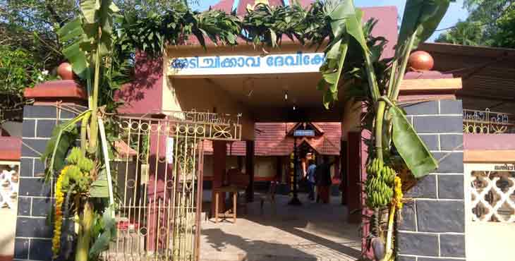 അടിച്ചിക്കാവ് ദേവീക്ഷേത്രത്തിലെ മോഷണം : ആഴ്ച ഒന്നു പിന്നിട്ടിട്ടും പ്രതികളെ പിടികൂടാനാകാതെ പോലീസ് അടിച്ചിക്കാവ് ദേവീക്ഷേത്രത്തിലെ മോഷണം : ആഴ്ച ഒന്നു പിന്നിട്ടിട്ടും പ്രതികളെ പിടികൂടാനാകാതെ പോലീസ്