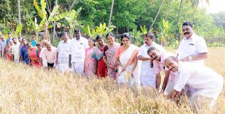 പച്ച പുതക്കാന് ഇലന്തൂര് – കര്ഷകര്ക്ക് ആധുനിക കൃഷി യന്ത്രങ്ങളും നൂതന ആശയങ്ങളും നല്കും ; ജെറി മാത്യു സാം പച്ച പുതക്കാന് ഇലന്തൂര് – കര്ഷകര്ക്ക് ആധുനിക കൃഷി യന്ത്രങ്ങളും നൂതന ആശയങ്ങളും നല്കും ; ജെറി മാത്യു സാം