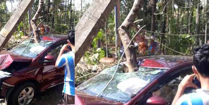 കോന്നി – കൂടലില് ഓടികൊണ്ടിരുന്ന കാറിന് മുകളിൽ മരക്കൊമ്പ് വീണ് യാത്രക്കാരന് പരുക്ക് കോന്നി – കൂടലില് ഓടികൊണ്ടിരുന്ന കാറിന് മുകളിൽ മരക്കൊമ്പ് വീണ് യാത്രക്കാരന് പരുക്ക്