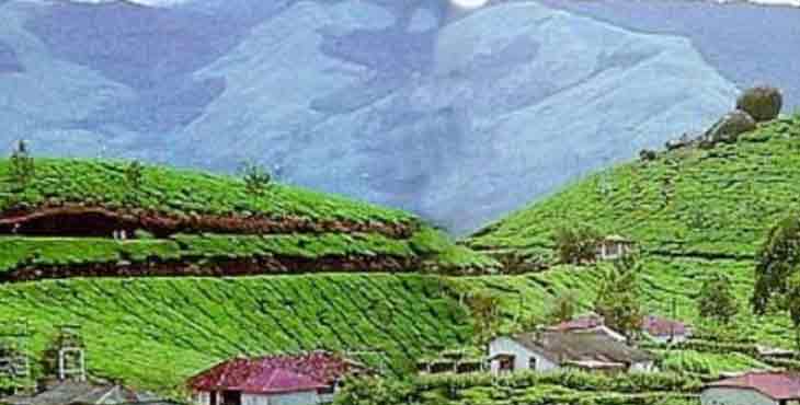 കൊവിഡ് 19: ഇടുക്കിയിൽ 840 വിദേശ വിനോദസഞ്ചാരികൾ നിരീക്ഷണത്തിൽ ; 75 പേര് ഹൈ റിസ്ക് വിഭാഗത്തില് കൊവിഡ് 19: ഇടുക്കിയിൽ 840 വിദേശ വിനോദസഞ്ചാരികൾ നിരീക്ഷണത്തിൽ ; 75 പേര് ഹൈ റിസ്ക് വിഭാഗത്തില്