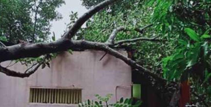 കനത്ത മഴയില് കോതമംഗലത്തും പരിസരത്തും വന് നാശനഷ്ടങ്ങള് കനത്ത മഴയില് കോതമംഗലത്തും പരിസരത്തും വന് നാശനഷ്ടങ്ങള്