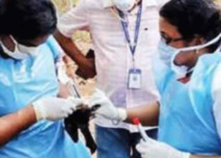കുന്ദമംഗലത്തും സമീപ പ്രദേശങ്ങളിലും വവ്വാലുകള് ചത്തു ; സ്രവം പരിശോധയ്ക്ക് അയച്ചു കുന്ദമംഗലത്തും സമീപ പ്രദേശങ്ങളിലും വവ്വാലുകള് ചത്തു ; സ്രവം പരിശോധയ്ക്ക് അയച്ചു