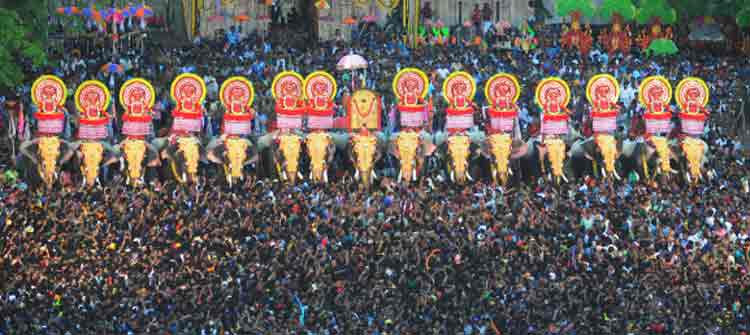 പൂരം ആനപ്പുറത്തു വേണ്ട … അനുമതി നിഷേധിച്ച് ജില്ലാഭരണകൂടം പൂരം ആനപ്പുറത്തു വേണ്ട … അനുമതി നിഷേധിച്ച് ജില്ലാഭരണകൂടം
