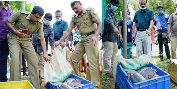 ജില്ലയിലെ സംയുക്ത സ്ക്വാഡ് പരിശോധനയില് 48 കിലോ പഴകിയ മത്സ്യം പിടിച്ചെടുത്തു ജില്ലയിലെ സംയുക്ത സ്ക്വാഡ് പരിശോധനയില് 48 കിലോ പഴകിയ മത്സ്യം പിടിച്ചെടുത്തു