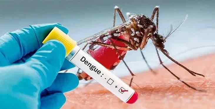 പാലക്കാട് ഡെങ്കിപനി പടരുന്നു : 9 പേർക്ക് രോഗം സ്ഥിരീകരിച്ചു പാലക്കാട് ഡെങ്കിപനി പടരുന്നു : 9 പേർക്ക് രോഗം സ്ഥിരീകരിച്ചു