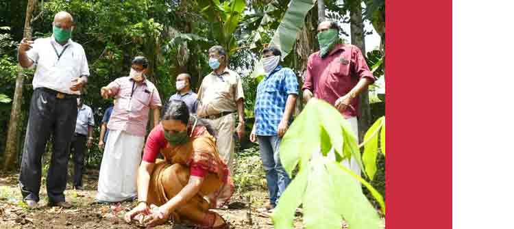 പത്തനംതിട്ട നഗരത്തിനായി പ്രത്യേക നഗര കൃഷി പദ്ധതി പത്തനംതിട്ട നഗരത്തിനായി പ്രത്യേക നഗര കൃഷി പദ്ധതി