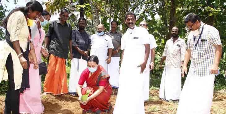 ഭക്ഷ്യസുരക്ഷ ഉറപ്പാക്കാന് എല്ലാവരും കൃഷി ചെയ്യണം : വീണാ ജോര്ജ് എംഎല്എ ഭക്ഷ്യസുരക്ഷ ഉറപ്പാക്കാന് എല്ലാവരും കൃഷി ചെയ്യണം : വീണാ ജോര്ജ് എംഎല്എ