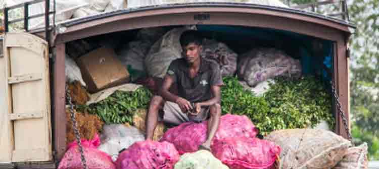 ചങ്ങനാശ്ശേരിയിൽ ലോക്ക്ഡൗൺ ലംഘനം ; മധുരയിൽ നിന്ന് പച്ചക്കറി വണ്ടിയെത്തി ചങ്ങനാശ്ശേരിയിൽ ലോക്ക്ഡൗൺ ലംഘനം ; മധുരയിൽ നിന്ന് പച്ചക്കറി വണ്ടിയെത്തി