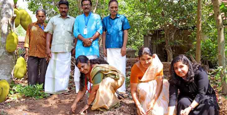 പുളിക്കീഴില് നമ്മുടെ കൃഷി – നമ്മുടെ ആരോഗ്യം പദ്ധതി തുടങ്ങി പുളിക്കീഴില് നമ്മുടെ കൃഷി – നമ്മുടെ ആരോഗ്യം പദ്ധതി തുടങ്ങി