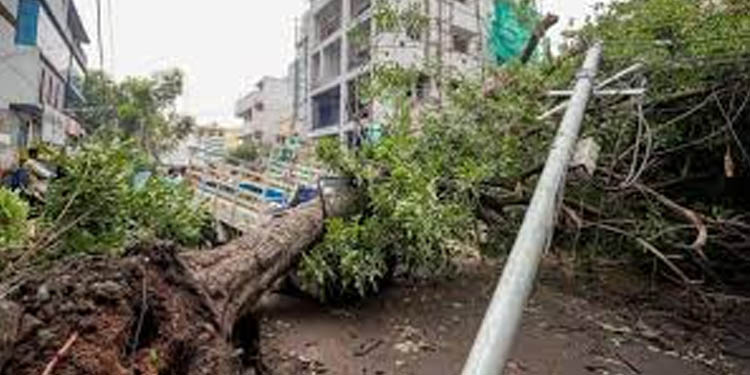 ഒഡീഷയില് നിരവധി വീടുകള് തകര്ന്നു ; റോഡ്, വൈദ്യുതി സംവിധാനങ്ങളും താറുമാറായി ; വന് നാശം വിതച്ച് ഉംപുണ് ഒഡീഷയില് നിരവധി വീടുകള് തകര്ന്നു ; റോഡ്, വൈദ്യുതി സംവിധാനങ്ങളും താറുമാറായി ; വന് നാശം വിതച്ച് ഉംപുണ്