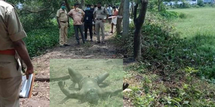 കുണ്ടറ പെരുങ്കുളത്ത് കത്തിക്കരിഞ്ഞ നിലയില് പുരുഷന്റെ മൃതദേഹം കണ്ടെത്തി കുണ്ടറ പെരുങ്കുളത്ത് കത്തിക്കരിഞ്ഞ നിലയില് പുരുഷന്റെ മൃതദേഹം കണ്ടെത്തി