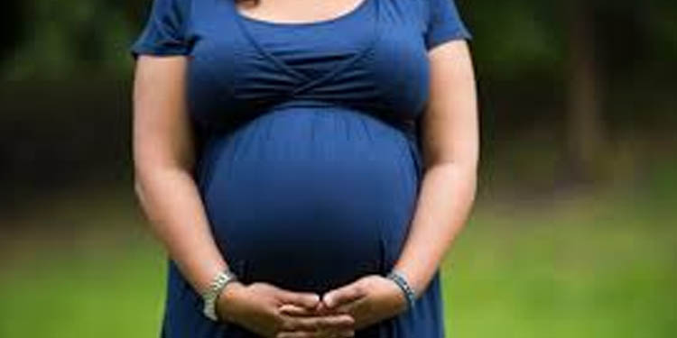 14 ദിവസം വീട്ടില് നിരീക്ഷണം മതി ; ഇതര സംസ്ഥാനങ്ങളിലെ റെഡ് സോണില് നിന്ന് വരുന്ന ഗര്ഭിണികള്ക്ക് ക്വാറന്റൈന് നിബന്ധനകളില് ഇളവ് 14 ദിവസം വീട്ടില് നിരീക്ഷണം മതി ; ഇതര സംസ്ഥാനങ്ങളിലെ റെഡ് സോണില് നിന്ന് വരുന്ന ഗര്ഭിണികള്ക്ക് ക്വാറന്റൈന് നിബന്ധനകളില് ഇളവ്
