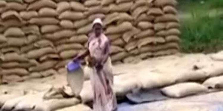 ഭക്ഷ്യ സുരക്ഷ ലക്ഷ്യം : സുഭിക്ഷ കേരളം പദ്ധതി ആരംഭിക്കുമെന്ന് സംസ്ഥാന സർക്കാർ ഭക്ഷ്യ സുരക്ഷ ലക്ഷ്യം : സുഭിക്ഷ കേരളം പദ്ധതി ആരംഭിക്കുമെന്ന് സംസ്ഥാന സർക്കാർ