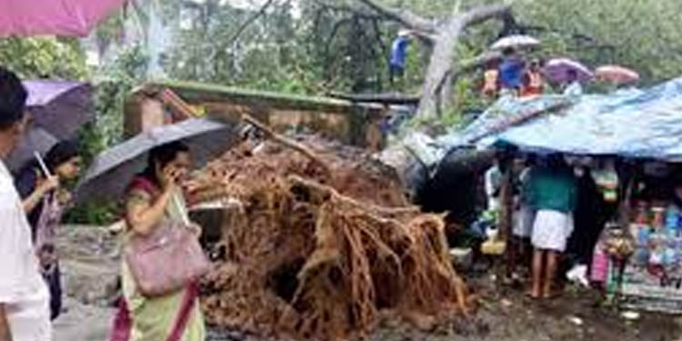 ഇന്നലത്തെ മഴയില് കോട്ടയം ജില്ലയില് വ്യാപക നാശനഷ്ടം ; മഴ തുടരുന്നതിനാല് ജാഗ്രത പാലിക്കണമെന്ന് ജില്ലാ ഭരണകൂടം ഇന്നലത്തെ മഴയില് കോട്ടയം ജില്ലയില് വ്യാപക നാശനഷ്ടം ; മഴ തുടരുന്നതിനാല് ജാഗ്രത പാലിക്കണമെന്ന് ജില്ലാ ഭരണകൂടം