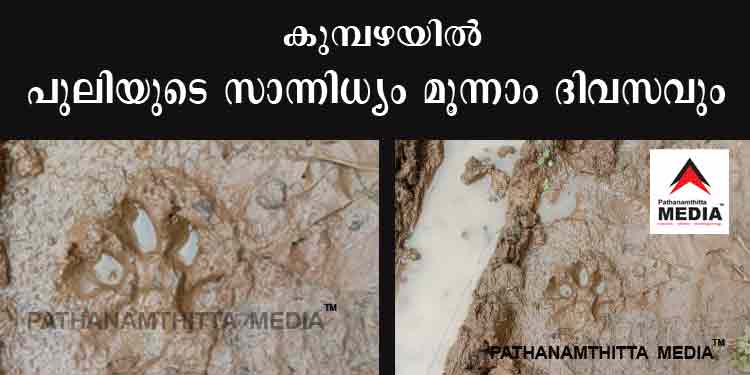 കുമ്പഴയിലെ തുണ്ടുമണ്കരയില് ഇന്നും പുലിയുടെ കാല്പ്പാടുകള് ; ഒഴിഞ്ഞുമാറി വനംവകുപ്പ് കുമ്പഴയിലെ തുണ്ടുമണ്കരയില് ഇന്നും പുലിയുടെ കാല്പ്പാടുകള് ; ഒഴിഞ്ഞുമാറി വനംവകുപ്പ്