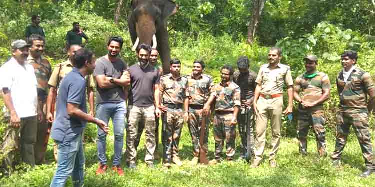 തണ്ണിത്തോട്ടിലെ കടുവയെ പിടികൂടുവാന് വയനാട്ടില് നിന്നും കുങ്കിയാനയും പതിമൂന്നംഗ വിദഗ്ധ സംഘവും എത്തി തണ്ണിത്തോട്ടിലെ കടുവയെ പിടികൂടുവാന് വയനാട്ടില് നിന്നും കുങ്കിയാനയും പതിമൂന്നംഗ വിദഗ്ധ സംഘവും എത്തി