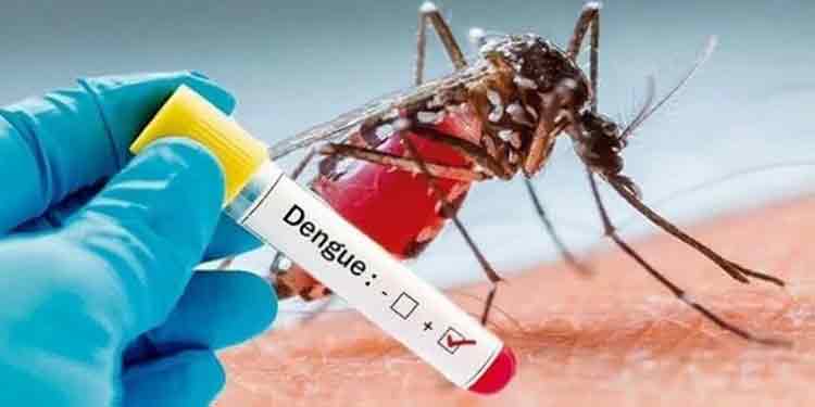 ഡെങ്കിപ്പനി നിയന്ത്രണം ; ഡ്രൈ ഡേ ആചരണം തുടരണം – ഡി എം ഒ ഡെങ്കിപ്പനി നിയന്ത്രണം ; ഡ്രൈ ഡേ ആചരണം തുടരണം – ഡി എം ഒ