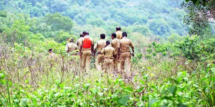 പിടിക്കാന് വരുന്നവരെ വട്ടം ചുറ്റിച്ച് കടുവ ; ഭീതിയോടെ ജനങ്ങള് പിടിക്കാന് വരുന്നവരെ വട്ടം ചുറ്റിച്ച് കടുവ ; ഭീതിയോടെ ജനങ്ങള്