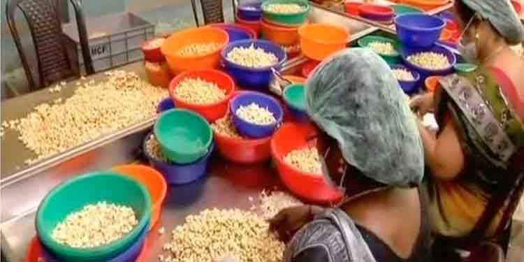 കശുവണ്ടി ഫാക്ടറികൾ പ്രവർത്തനം പുന:രാരംഭിച്ചു ; പ്രതീക്ഷയോടെ തൊഴിലാളികൾ കശുവണ്ടി ഫാക്ടറികൾ പ്രവർത്തനം പുന:രാരംഭിച്ചു ; പ്രതീക്ഷയോടെ തൊഴിലാളികൾ