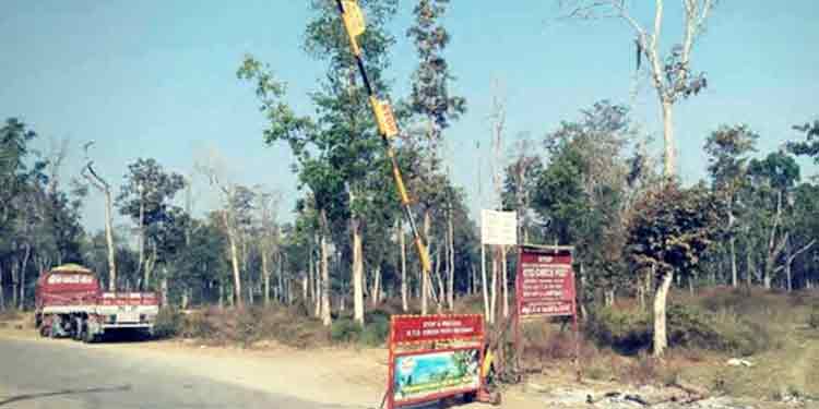 മുത്തങ്ങയിൽ വ്യാജ പാസുമായി എത്തിയ ആൾ അറസ്റ്റിൽ മുത്തങ്ങയിൽ വ്യാജ പാസുമായി എത്തിയ ആൾ അറസ്റ്റിൽ