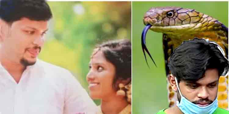 ഭാര്യ ഉത്രയെ കൊന്നത് ക്രൂരമായി ; ഭാവവ്യത്യാസമില്ലാതെ കൊലയാളി സൂരജ് – കൊലപാതക വഴി ഇങ്ങനെ…. ഭാര്യ ഉത്രയെ കൊന്നത് ക്രൂരമായി ; ഭാവവ്യത്യാസമില്ലാതെ കൊലയാളി സൂരജ് – കൊലപാതക വഴി ഇങ്ങനെ….