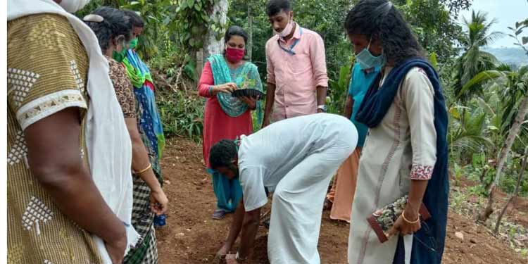 പത്തനംതിട്ട നഗരസഭ പത്തൊന്പതാം വാര്ഡില് ഇനി അമരപ്പയര് വിളയും… പത്തനംതിട്ട നഗരസഭ പത്തൊന്പതാം വാര്ഡില് ഇനി അമരപ്പയര് വിളയും…