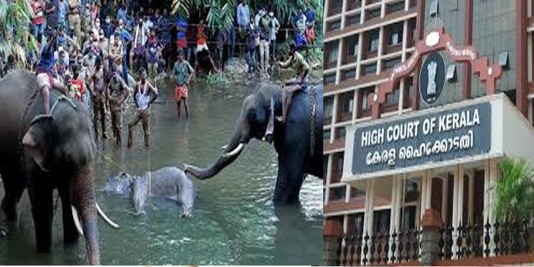 ഗര്ഭിണിയായ ആന സ്ഫോടകവസ്തു പൊട്ടിത്തെറിച്ച് ചെരിഞ്ഞ കേസ് : അന്വേഷണത്തിന് സ്റ്റേ ഇല്ല ഗര്ഭിണിയായ ആന സ്ഫോടകവസ്തു പൊട്ടിത്തെറിച്ച് ചെരിഞ്ഞ കേസ് : അന്വേഷണത്തിന് സ്റ്റേ ഇല്ല