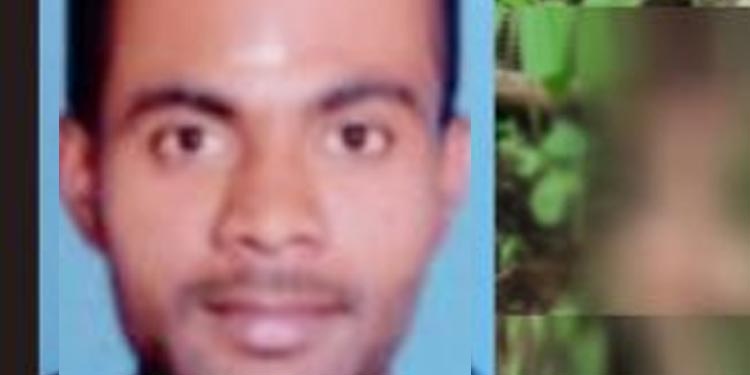പുല്പ്പള്ളിയില് കാണാതായ യുവാവിനെ വന്യജീവി കൊന്നുതിന്ന നിലയില് കാട്ടിനുള്ളില് കണ്ടെത്തി പുല്പ്പള്ളിയില് കാണാതായ യുവാവിനെ വന്യജീവി കൊന്നുതിന്ന നിലയില് കാട്ടിനുള്ളില് കണ്ടെത്തി
