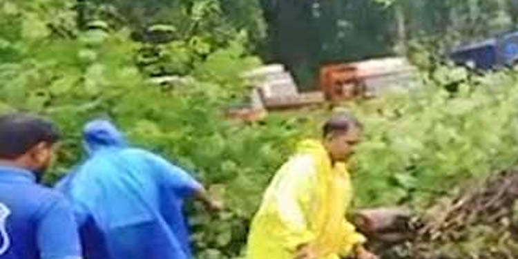 നാടുകാണി ചുരത്തില് മരങ്ങള് വീണ് ഗതാഗതം മുടങ്ങി ; നിരവധി വാഹനങ്ങള് കുടുങ്ങികിടക്കുന്നു നാടുകാണി ചുരത്തില് മരങ്ങള് വീണ് ഗതാഗതം മുടങ്ങി ; നിരവധി വാഹനങ്ങള് കുടുങ്ങികിടക്കുന്നു
