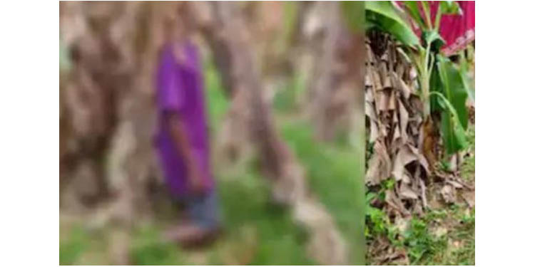 പത്താം ക്ലാസ്സ് വിദ്യാര്ത്ഥി വാഴക്കൈയില് തൂങ്ങിമരിച്ച സംഭവം : അന്വേഷണം പുനലൂര് ഡിവൈഎസ്പിക്ക് പത്താം ക്ലാസ്സ് വിദ്യാര്ത്ഥി വാഴക്കൈയില് തൂങ്ങിമരിച്ച സംഭവം : അന്വേഷണം പുനലൂര് ഡിവൈഎസ്പിക്ക്