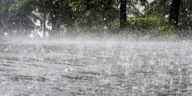 സംസ്ഥാനത്ത് ഇന്നുമുതല് കാലവര്ഷം ശക്തമാകും ; ഒന്പത് ജില്ലകളില് യെല്ലോ അലേര്ട്ട് സംസ്ഥാനത്ത് ഇന്നുമുതല് കാലവര്ഷം ശക്തമാകും ; ഒന്പത് ജില്ലകളില് യെല്ലോ അലേര്ട്ട്