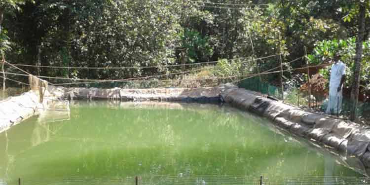 മത്സ്യോല്പാദനം ഇരട്ടിയാക്കല് ലക്ഷ്യമിട്ട് ജനകീയ മത്സ്യകൃഷി പദ്ധതികള് മത്സ്യോല്പാദനം ഇരട്ടിയാക്കല് ലക്ഷ്യമിട്ട് ജനകീയ മത്സ്യകൃഷി പദ്ധതികള്
