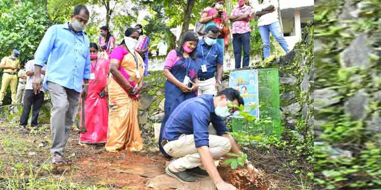 ലോകക്ഷീരദിനാചരണം : വൃക്ഷത്തൈ നട്ടു ലോകക്ഷീരദിനാചരണം : വൃക്ഷത്തൈ നട്ടു