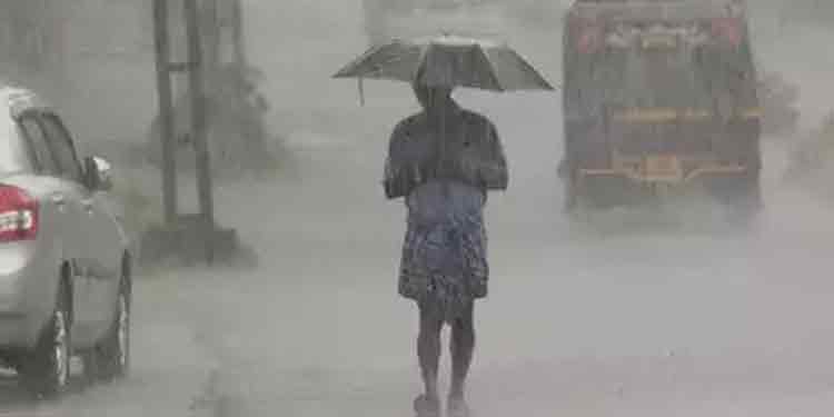 സംസ്ഥാനത്ത് വ്യാപക മഴ ; കോഴിക്കോട് ഓറഞ്ച് അലർട്ട് , ഏഴ് ജില്ലകളില് യെല്ലോ അലര്ട്ട് : ജാഗ്രതാ നിര്ദേശം സംസ്ഥാനത്ത് വ്യാപക മഴ ; കോഴിക്കോട് ഓറഞ്ച് അലർട്ട് , ഏഴ് ജില്ലകളില് യെല്ലോ അലര്ട്ട് : ജാഗ്രതാ നിര്ദേശം