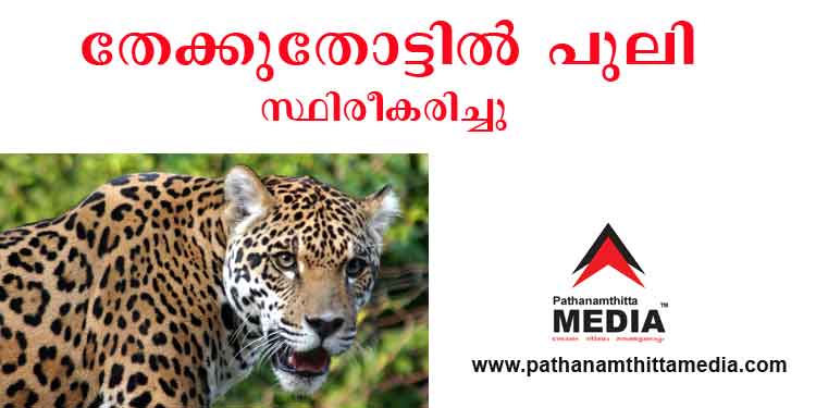 തേക്കുതോട് – ളാഹ ഭാഗത്ത് പുലി ഇറങ്ങിയതായി വനപാലകർ സ്ഥിരീകരിച്ചു തേക്കുതോട് – ളാഹ ഭാഗത്ത് പുലി ഇറങ്ങിയതായി വനപാലകർ സ്ഥിരീകരിച്ചു