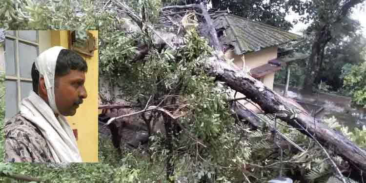 മൂഴിയാർ 40 കോളനിയിലെ ക്വാര്ട്ടേഴ്സിനു മുകളിൽ കാറ്റാടിമരം കടപുഴകി വീണു ; ഡ്രൈവർക്ക് പരിക്ക് മൂഴിയാർ 40 കോളനിയിലെ ക്വാര്ട്ടേഴ്സിനു മുകളിൽ കാറ്റാടിമരം കടപുഴകി വീണു ; ഡ്രൈവർക്ക് പരിക്ക്