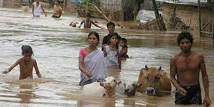ആസ്സാം വെള്ളപ്പൊക്കം : കേന്ദ്രസര്ക്കാര് 346 കോടി രൂപ അനുവദിച്ചു ആസ്സാം വെള്ളപ്പൊക്കം : കേന്ദ്രസര്ക്കാര് 346 കോടി രൂപ അനുവദിച്ചു