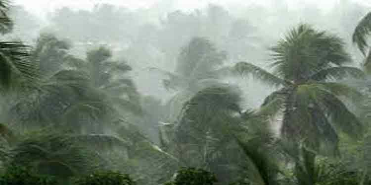 ശക്തമായ മഴയ്ക്ക് സാധ്യത : എറണാകുളം, ഇടുക്കി, കണ്ണൂര് , കാസര്കോട് ജില്ലകളില് മഞ്ഞ അലര്ട്ട് ശക്തമായ മഴയ്ക്ക് സാധ്യത : എറണാകുളം, ഇടുക്കി, കണ്ണൂര് , കാസര്കോട് ജില്ലകളില് മഞ്ഞ അലര്ട്ട്