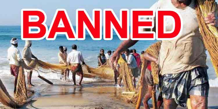 ആലപ്പുഴ ജില്ലയില് മത്സ്യബന്ധനവും വില്പ്പനയും നിരോധിച്ചു ആലപ്പുഴ ജില്ലയില് മത്സ്യബന്ധനവും വില്പ്പനയും നിരോധിച്ചു