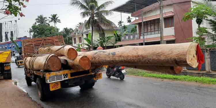 കോന്നിയിൽ അമിത ഭാരം കയറ്റിയുള്ള തടിലോറികളുടെ പരക്കംപാച്ചിൽ ; കണ്ണടച്ച് അധികൃതര് കോന്നിയിൽ അമിത ഭാരം കയറ്റിയുള്ള തടിലോറികളുടെ പരക്കംപാച്ചിൽ ; കണ്ണടച്ച് അധികൃതര്
