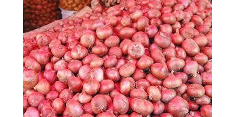 ഉല്പാദനം കൂടി : സവാളയ്ക്കു കിലോ വില 1 രൂപ ഉല്പാദനം കൂടി : സവാളയ്ക്കു കിലോ വില 1 രൂപ