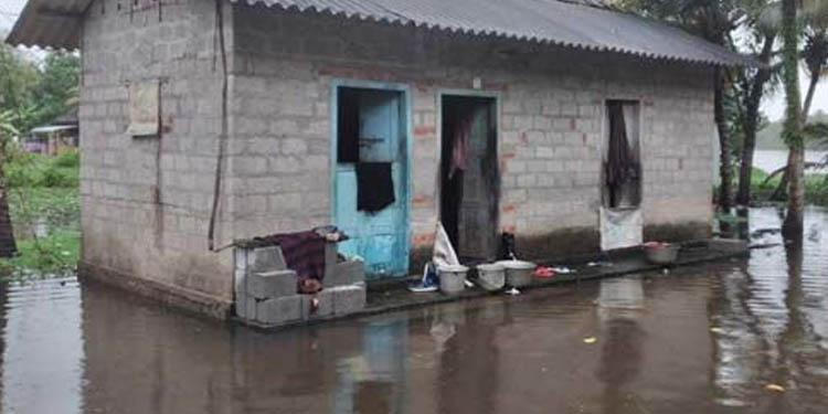 കനത്ത മഴ : കുട്ടനാട്ടില് മട വീണ് വ്യാപക നാശം കനത്ത മഴ : കുട്ടനാട്ടില് മട വീണ് വ്യാപക നാശം