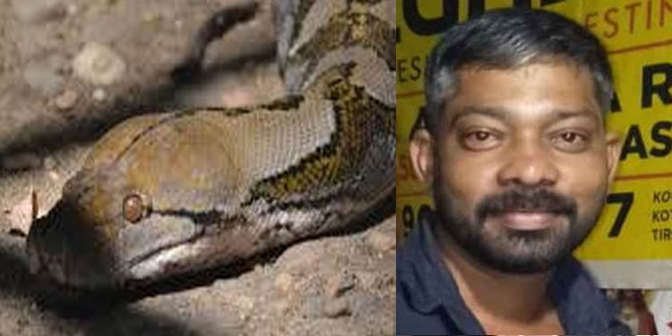 കോതമംഗലത്ത് പെരുമ്പാമ്പ് ഇറച്ചിയെന്ന വ്യാജേന ചേരയുടെ ഇറച്ചി വില്ക്കാന് ശ്രമം : യുവാവ് പിടിയില് കോതമംഗലത്ത് പെരുമ്പാമ്പ് ഇറച്ചിയെന്ന വ്യാജേന ചേരയുടെ ഇറച്ചി വില്ക്കാന് ശ്രമം : യുവാവ് പിടിയില്