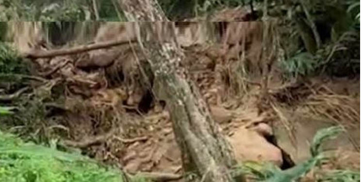 വയനാട് ചൂരല് മലയില് ഉരുള് പൊട്ടി വയനാട് ചൂരല് മലയില് ഉരുള് പൊട്ടി